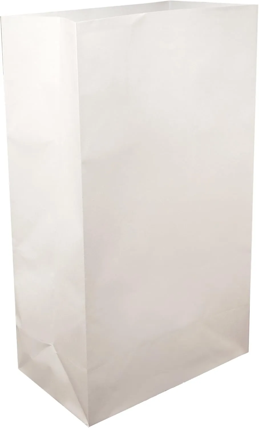 LumaBase 41012 Flame Resistant Bag Paper Luminarias, White, 12 Count (Pack of 1)