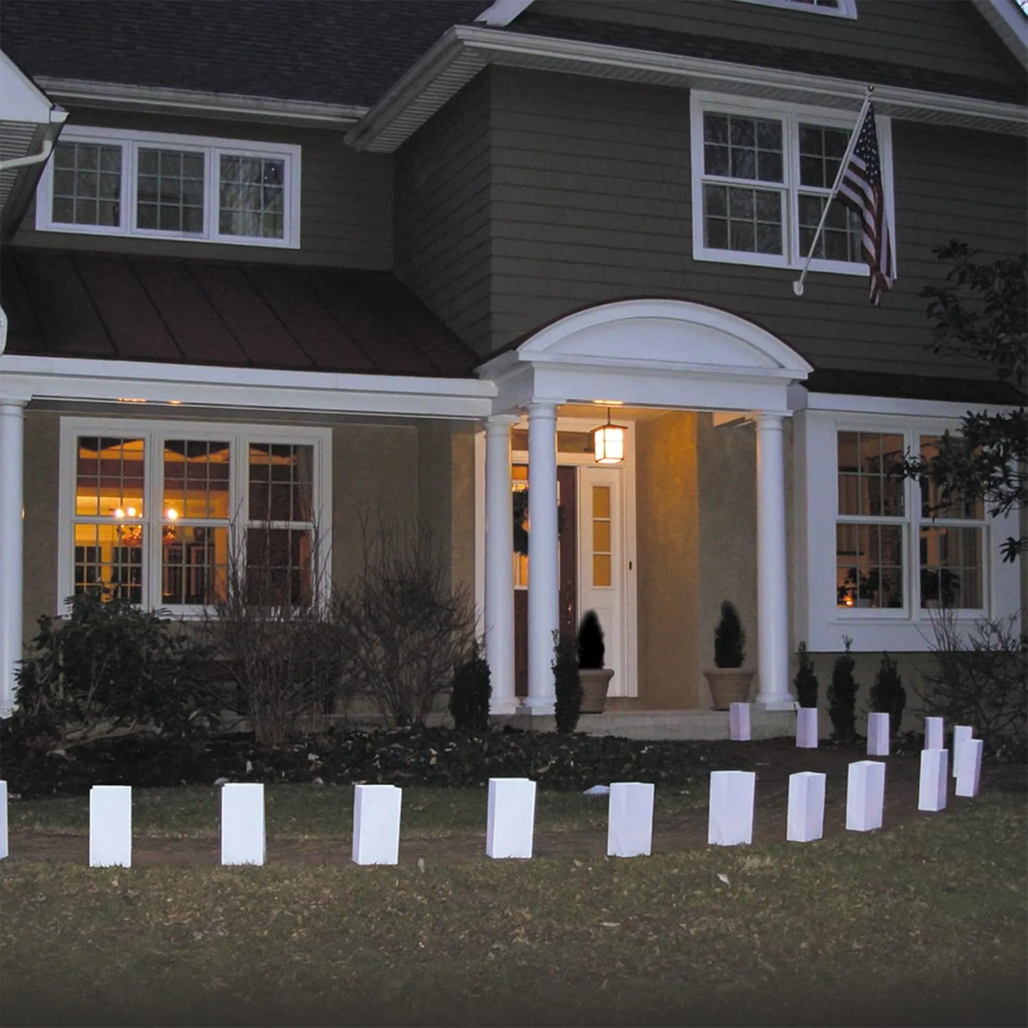 LumaBase 41012 Flame Resistant Bag Paper Luminarias, White, 12 Count (Pack of 1)